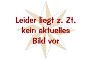 5 Mio. Mark Paul Pusch, Bad Wildungen Landesdirektor & Domnenkammer Land Waldeck Inflationsausgabe avers.jpg