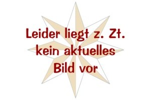 20 Mrd.Mark - Peters Union A.G. Zweigfabrik Corbach Inflationsausgabe avers.jpg