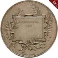  Medaille Emma zu Waldeck-Pyrmont Knigreich der Niederlande revers.jpg