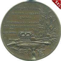  Medaille Emma zu Waldeck-Pyrmont Knigreich der Niederlande revers.jpg