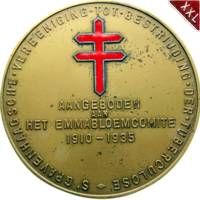  Medaille Emma zu Waldeck-Pyrmont Knigreich der Niederlande revers.jpg